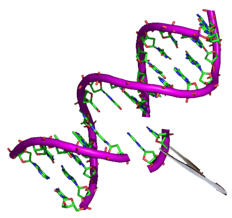 CTX-II elisa Test :: Canine Cross-Linked C-Terminal Telopeptides of Type II Collagen ELISA Test - 96 Tests