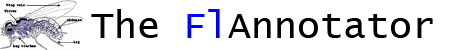Flyprot
